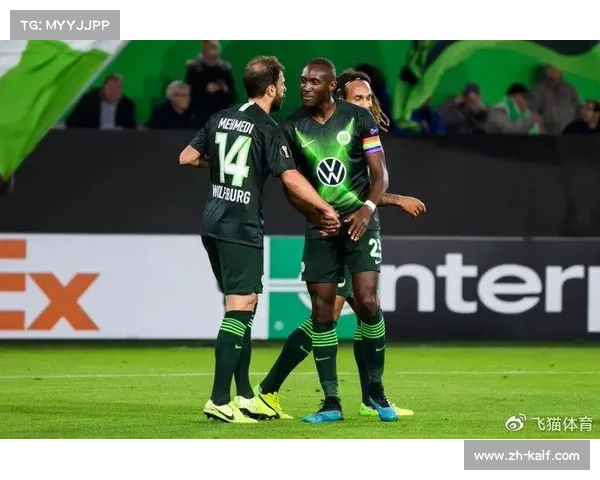 气候因素对比赛影响研究:德甲北方球队冬季主场优势分析